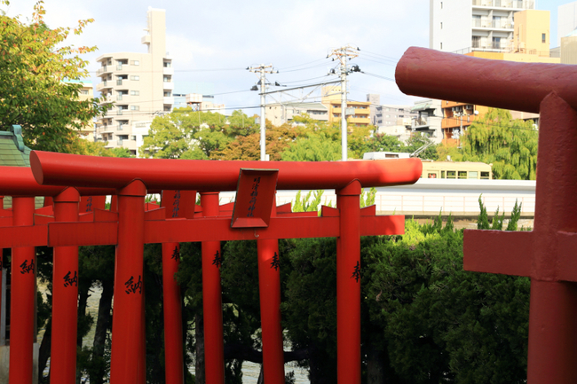 torii[1].jpg